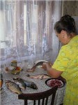 Голландские мотивы
